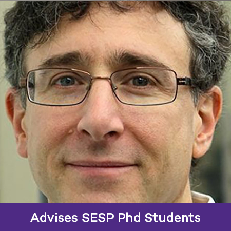 Professor, Learning Sciences