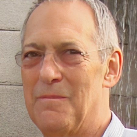 Professor Emeritus, Learning Sciences