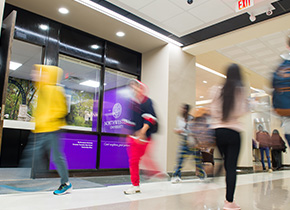 A person holding a pipette and a person in gloves
